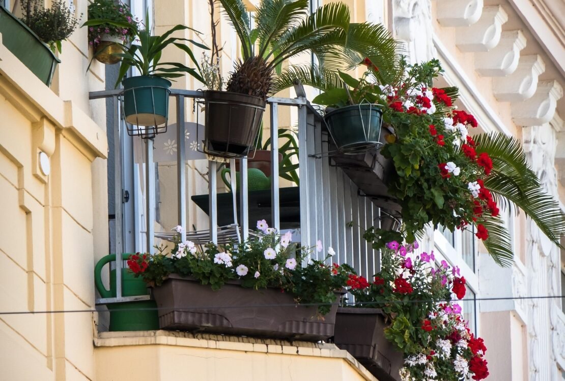 Balkonbepflanzung