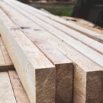 Holz