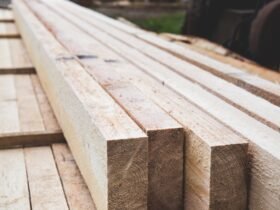 Holz