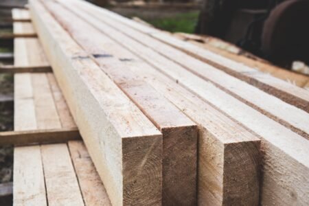 Holz